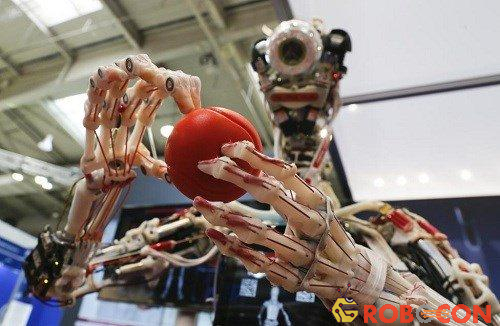 Eccerobot, robot có khớp xương và và cơ bắp