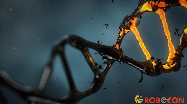 Nhiệm vụ tái cấu trúc DNA hoàn toàn dựa trên nghiên cứu mẫu DNA của hậu duệ người chết.