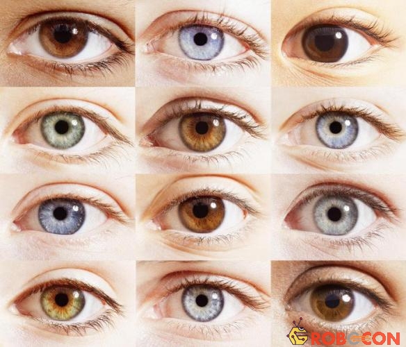 Màu nâu chính là màu nguyên thủy của mắt, cũng là màu phổ biến nhất hiện nay