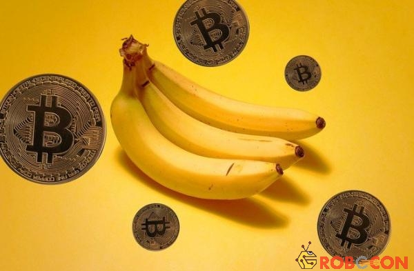 Bananacoin là một token dựa trên Ethereum, được định giá bằng giá xuất khẩu của 1 kilogram chuối.