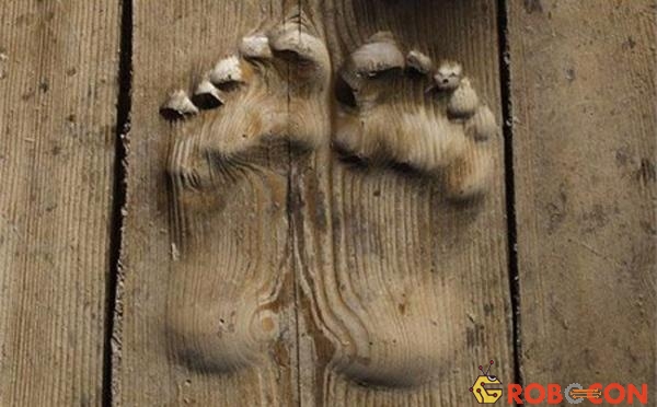 Hai dấu chân rõ ràng in trên tấm gỗ