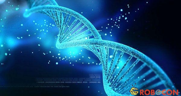 Chỉ 8,2% ADN người là có chức năng hoạt động. Ảnh: Shutterstock
