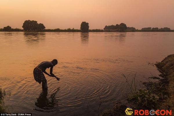 Một người phụ nữ của bộ tộc tắm ở sông Nile trong ánh hoàng hôn. Sau khi nội chiến kết thúc, hàng nghìn nam giới trở về Nam Sudan tìm vợ, khiến phụ nữ trở nên có giá.