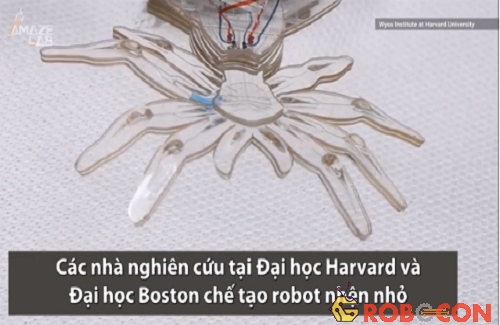 Robot nhện